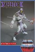Skeletor Evil Lord of Destruction (Masters of the Universe) Custom Action Figure