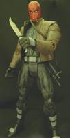 Red Hood (Batman) Custom Action Figure