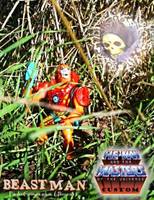 Beast Man (Masters of the Universe) Custom Action Figure