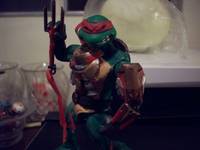 Tmnt (Wrestling) Custom Action Figure