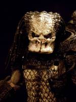 Closed Mouth Predator with Mask (Predator) Custom Action Figure