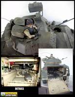 Bradley Fighting Vehicle (Soldier) Custom Vehicle