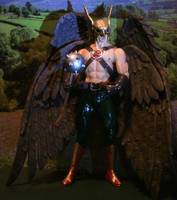 Hawkman (DC Universe) Custom Action Figure