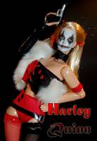 Harley Quinn (DC Direct) Custom Action Figure
