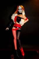 Harley Quinn (DC Direct) Custom Action Figure