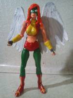 Hawkgirl ? (DC Universe) Custom Action Figure