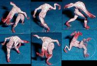 Schism (Silent Hill) Custom Miniature / Figurine