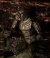 Black Spider-Man (Spider-Man - Movie) Custom Action Figure