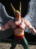 DCSH JSA Hawkman (DC Superheroes) Custom Action Figure