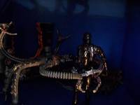 Spider-Slayer (Marvel Legends) Custom Action Figure