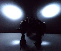 Optimus Primal (Transformers - Beast Machines) Custom Action Figure