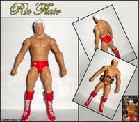 "Nature Boy" Ric Flair (Wrestling) Custom Action Figure