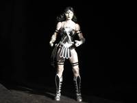 BL Wonderwoman (DC Universe) Custom Action Figure