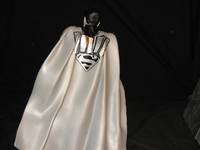 BL Superdead (DC Universe) Custom Action Figure