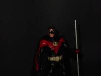 Red Robin (Unternet Avatar) (DC Universe) Custom Action Figure