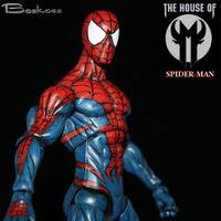 House of M Spiderman (Marvel Legends) Custom Action Figure