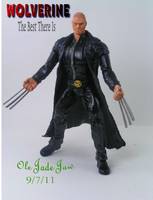 Wolverine:  the Best There Is (Marvel Legends) Custom Action Figure