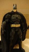 Batman the Dark Knight DCUC (DC Universe) Custom Action Figure