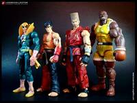 Paul Phoenix (Tekken 5) Custom Action Figure