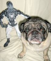 Negative Zone Spiderman (Spider-Man - Movie) Custom Action Figure