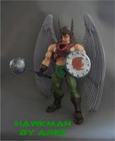 Motuc Hawkman V. 2 (Masters of the Universe) Custom Action Figure