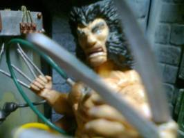 Weapon X (Marvel Legends) Custom Action Figure