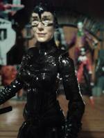 Catwoman (DC Infinite Heroes) Custom Action Figure