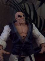 Retsu (Street Fighter) Custom Action Figure