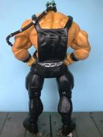 Bane (DC Universe) Custom Action Figure