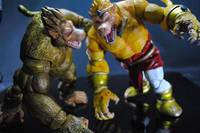 Broly Super Saiyan Ohzaru (Dragonball Z) Custom Action Figure