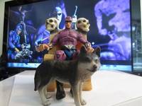 The Phantom 2.1 (Marvel Legends) Custom Action Figure