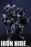 Rion Hide (Transformers) Custom Action Figure