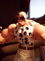Abigail (Final Fight) Custom Action Figure