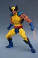 Marvel Universe Classics Wolverine (DC Universe) Custom Action Figure
