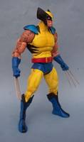 Marvel Universe Classics Wolverine (DC Universe) Custom Action Figure