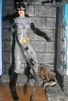 Catwoman (Batman Animated) Custom Action Figure