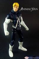 Animal Man (DC New 52) (Marvel Legends) Custom Action Figure