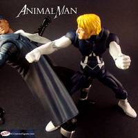 Animal Man (DC New 52) (Marvel Legends) Custom Action Figure
