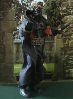 Darkfire V2 (My Heroes) Custom Action Figure