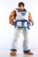 Kim Kaphwan (Fatal Fury) Custom Action Figure