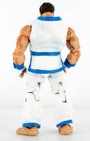 Kim Kaphwan (Fatal Fury) Custom Action Figure