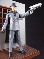 The Gray Ghost (Batman Animated) (DC Universe) Custom Action Figure