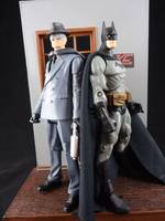 The Gray Ghost (Batman Animated) (DC Universe) Custom Action Figure