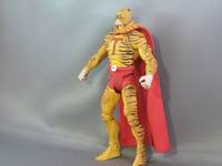 Tiger Man (DC Universe) Custom Action Figure