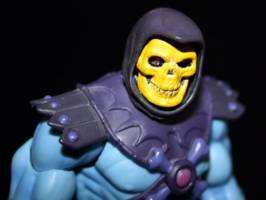 Skeletor (Masters of the Universe) Custom Action Figure