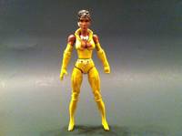 Vixen (DC Infinite Heroes) Custom Action Figure