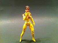 Vixen (DC Infinite Heroes) Custom Action Figure