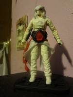 Assassins Creed (Modern) Shawn (Assassin's Creed) Custom Action Figure