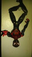 Ultimate Spider-Man (Spider-Man) Custom Action Figure