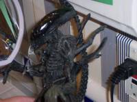 Royal Gaurd Alien (Predator) Custom Action Figure